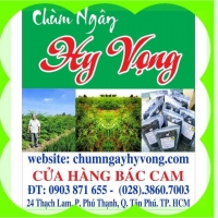 Sức khỏe cho mọi người 