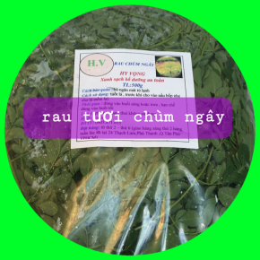 Rau tươi chùm ngây 