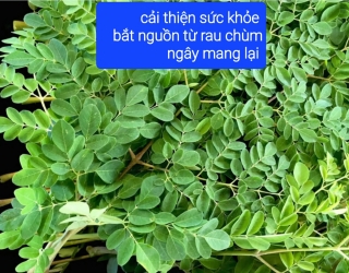 Sức khỏe không bình thường 