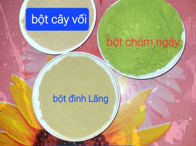 Sự lựa chọn hoàn hảo 