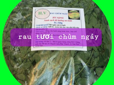 Rau tươi chùm ngây 